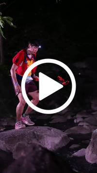 BIB:  <button type="button" onclick="openModal(28063223)" class="btn btn-primary btn-sm float-right" data-toggle="modal" data-target=".modal-high-quality">
                <i class="fa fa-download"></i> Download
                </button>